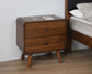 Robyn 2-drawer Nightstand Bedside Table Dark Walnut