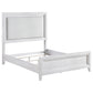 Marielle 5-piece Queen Bedroom Set Distressed White